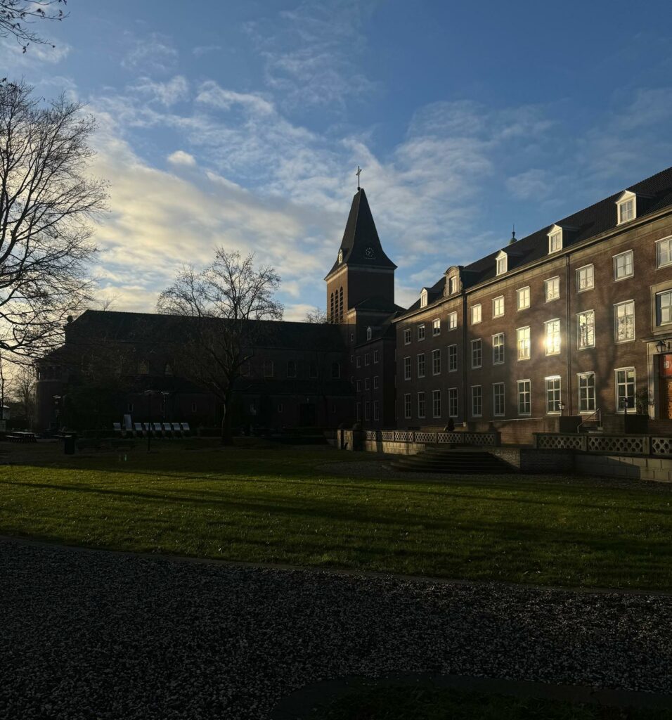 A picture of the BUas campus, with light shining through the trees. 